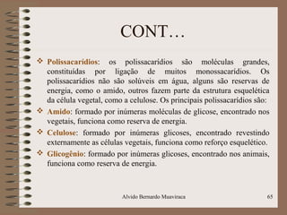 CONT…
 Polissacarídios: os polissacarídios são moléculas grandes,
constituídas por ligação de muitos monossacarídios. Os
polissacarídios não são solúveis em água, alguns são reservas de
energia, como o amido, outros fazem parte da estrutura esquelética
da célula vegetal, como a celulose. Os principais polissacarídios são:
 Amido: formado por inúmeras moléculas de glicose, encontrado nos
vegetais, funciona como reserva de energia.
 Celulose: formado por inúmeras glicoses, encontrado revestindo
externamente as células vegetais, funciona como reforço esquelético.
 Glicogênio: formado por inúmeras glicoses, encontrado nos animais,
funciona como reserva de energia.
Alvido Bernardo Muaviraca 65
 