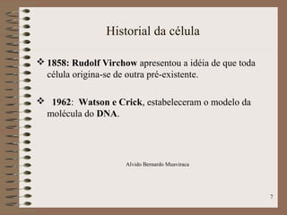 Historial da célula
 1858: Rudolf Virchow apresentou a idéia de que toda
célula origina-se de outra pré-existente.
 1962: Watson e Crick, estabeleceram o modelo da
molécula do DNA.
7
Alvido Bernardo Muaviraca
 