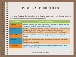 PROTEÍNAS ESTRUTURAIS
Uma das funções das proteínas é a função estrutural, pois fazem parte da
arquitetura das células e tecidos dos organismos.
Alvido Bernardo Muaviraca 70
PROTEÍNA PAPEL BIOLÓGICO
Colágeno Proteína presente nos ossos, cartilagens e tendões, e também na pele.
Aumenta a resistência desses tecidos à tracção.
Queratina Recobre a superfície da pele dos vertebrados terrestres. É o mais abundante
componente de unhas, garras, corpos, bicos e pêlos dos vertebrados.
Impermeabilizando as superfícies corpóreas, diminuindo a desidratação.
Actina e Miosina Principais constituintes do músculo. Responsáveis pela contractilidade do
músculo.
Albumina Proteína mais abundante do plasma sanguíneo, conferindo-lhe viscosidade,
pressão
osmótica e função tampão.
Hemoglobina Proteína presente nas hemácias. Relacionada ao transporte de gases pelas
células vermelhas do sangue.
 
