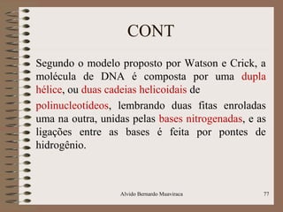 CONT
Segundo o modelo proposto por Watson e Crick, a
molécula de DNA é composta por uma dupla
hélice, ou duas cadeias helicoidais de
polinucleotídeos, lembrando duas fitas enroladas
uma na outra, unidas pelas bases nitrogenadas, e as
ligações entre as bases é feita por pontes de
hidrogênio.
Alvido Bernardo Muaviraca 77
 