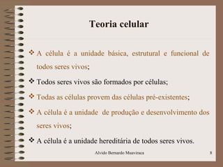 Teoria celular
 A célula é a unidade básica, estrutural e funcional de
todos seres vivos;
 Todos seres vivos são formados por células;
 Todas as células provem das células pré-existentes;
 A célula é a unidade de produção e desenvolvimento dos
seres vivos;
 A célula é a unidade hereditária de todos seres vivos.
8Alvido Bernardo Muaviraca
 