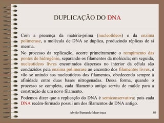DUPLICAÇÃO DO DNA
Com a presença da matéria-prima (nucleotídeos) e da enzima
polimerase, a molécula de DNA se duplica, produzindo réplicas de si
mesma.
No processo da replicação, ocorre primeiramente o rompimento das
pontes de hidrogénio, separando os filamentos da molécula; em seguida,
nucleotídeos livres encontrados dispersos no interior da célula são
conduzidos pela enzima polimerase ao encontro dos filamentos livres, e
vão se unindo aos nucleotídeos dos filamentos, obedecendo sempre à
afinidade entre duas bases nitrogenadas. Dessa forma, quando o
processo se completa, cada filamento antigo serviu de molde para a
construção de um novo filamento.
Podemos dizer que a replicação do DNA é semiconservativa: pois cada
DNA recém-formado possui um dos filamentos do DNA antigo.
Alvido Bernardo Muaviraca 80
 