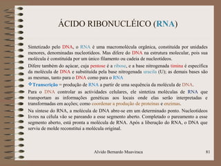ÁCIDO RIBONUCLÉICO (RNA)
Sintetizado pelo DNA, o RNA é uma macromolécula orgânica, constituída por unidades
menores, denominadas nucleotídeos. Mas difere do DNA na estrutura molecular, pois sua
molécula é constituída por um único filamento ou cadeia de nucleotídeos.
Difere também do açúcar, cuja pentose é a ribose, e a base nitrogenada timina é específica
da molécula de DNA e substituída pela base nitrogenada uracila (U); as demais bases são
as mesmas, tanto para o DNA como para o RNA
Transcrição = produção de RNA a partir de uma sequência da molécula de DNA.
Para o DNA controlar as actividades celulares, ele sintetiza moléculas de RNA que
transportam as informações genéticas aos locais onde elas serão interpretadas e
transformadas em acções; como coordenar a produção de proteínas e enzimas.
Na síntese do RNA, a molécula de DNA abre-se em um determinado ponto. Nucleotídeos
livres na célula vão se pareando a esse segmento aberto. Completado o pareamento a esse
segmento aberto, está pronta a molécula de RNA. Após a liberação do RNA, o DNA que
serviu de molde reconstitui a molécula original.
Alvido Bernardo Muaviraca 81
 