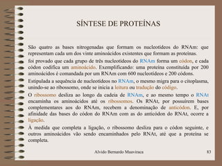 SÍNTESE DE PROTEÍNAS
São quatro as bases nitrogenadas que formam os nucleotídeos do RNAm: que
representam cada um dos vinte aminoácidos existentes que formam as proteínas.
foi provado que cada grupo de três nucleotídeos do RNAm forma um códon, e cada
códon codifica um aminoácido. Exemplificando: uma proteína constituída por 200
aminoácidos é comandada por um RNAm com 600 nucleotídeos e 200 códons.
Estipulada a sequência de nucleotídeos no RNAm, o mesmo migra para o citoplasma,
unindo-se ao ribossomo, onde se inicia a leitura ou tradução do código.
O ribossomo desliza ao longo da cadeia de RNAm, e ao mesmo tempo o RNAt
encaminha os aminoácidos até os ribossomos. Os RNAt, por possuírem bases
complementares aos do RNAm, recebem a denominação de anticódon. E, por
afinidade das bases do códon do RNAm com as do anticódon do RNAt, ocorre a
ligação.
À medida que completa a ligação, o ribossomo desliza para o códon seguinte, e
outros aminoácidos vão sendo encaminhados pelo RNAt, até que a proteína se
completa.
Alvido Bernardo Muaviraca 83
 