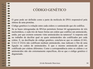 CÓDIGO GENÉTICO
O gene pode ser definido como a parte da molécula de DNA responsável pela
síntese de uma proteína.
Código genético é a relação entre cada códon e o aminoácido que ele codifica.
Se as bases nitrogenadas do RNAm permitem formar 64 agrupamentos de três
nucleotídeos, e cada trio de bases forma um códon que codifica um aminoácido,
então, por que existem somente vinte aminoácidos na natureza? A resposta está
no trabalho de decifrar qual ou quais aminoácidos são codificados por cada
códon. E, na decifração do código genético, concluiu-se que os códons (UAG,
UAA E UGA) não codificam nenhum aminoácido, mas indicam o fim de uma
ligação ou cadeia de aminoácidos. E que o mesmo aminoácido pode ser
codificado por códons diferentes. Como a correspondência entre os códons e os
aminoácidos não são extremamente específicas, diz-se que o código genético é
degenerado.
84Alvido Bernardo Muaviraca
 