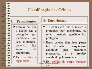 Classificação das Células
I. Procariontes
 Células em que
o núcleo não é
protegido por
membrana, ou
seja, o material
genético fica
solto no
citoplasma.
 Ex.: bactérias e
algas azuis.
II. Eucariontes
 Células em que o núcleo é
protegido por membrana, ou
seja, o material genético fica
protegido.
 Essas células têm duas partes
bem distintas: o citoplasma,
envolvido pela membrana
plasmática, e o núcleo,
envolvido pela carioteca.
 Ex: células do corpo humano,
etc.
9Alvido Bernardo Muaviraca
 