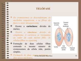 TELÓFASE
 Os cromossomos se descondensam, os
nucléolos reaparecem, e as fibras do
fuso e o áster desaparecem;
 Ocorre a cariocinese: divisão do
núcleo;
 Ocorre a citocinese: divisão do
citoplasma. A carioteca se reorganiza
ao redor de cada núcleo filho. As
células-filhas se separam;
 Formação de duas células filhas
contendo o mesmo número de
cromossomos da célula mãe, porém
simples.
 Formação de duas novas cariotecas e
dois novos nucléolos.
93Alvido Bernardo Muaviraca
 