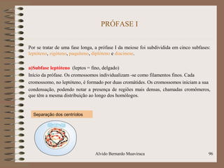 PRÓFASE I
Por se tratar de uma fase longa, a prófase I da meiose foi subdividida em cinco subfases:
leptóteno, zigóteno, paquíteno, diplóteno e diacinese.
a)Subfase leptóteno (leptos = fino, delgado)
Início da prófase. Os cromossomos individualizam -se como filamentos finos. Cada
cromossomo, no leptóteno, é formado por duas cromátides. Os cromossomos iniciam a sua
condensação, podendo notar a presença de regiões mais densas, chamadas cromômeros,
que têm a mesma distribuição ao longo dos homólogos.
Alvido Bernardo Muaviraca 96
Separação dos centríolos
 