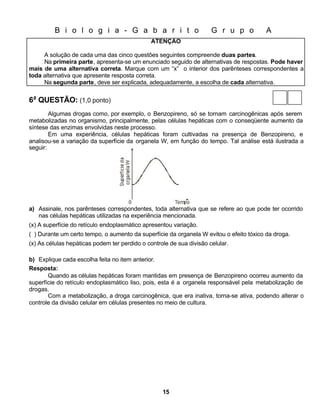 B i o l o g i a - G a b a r i t o                            G r u p o          A
                                               ATENÇÃO

     A solução de cada uma das cinco questões seguintes compreende duas partes.
     Na primeira parte, apresenta-se um enunciado seguido de alternativas de respostas. Pode haver
mais de uma alternativa correta. Marque com um “x” o interior dos parênteses correspondentes a
toda alternativa que apresente resposta correta.
     Na segunda parte, deve ser explicada, adequadamente, a escolha de cada alternativa.


6a QUESTÃO: (1,0 ponto)
        Algumas drogas como, por exemplo, o Benzopireno, só se tornam carcinogênicas após serem
metabolizadas no organismo, principalmente, pelas células hepáticas com o conseqüente aumento da
síntese das enzimas envolvidas neste processo.
        Em uma experiência, células hepáticas foram cultivadas na presença de Benzopireno, e
analisou-se a variação da superfície da organela W, em função do tempo. Tal análise está ilustrada a
seguir:




a) Assinale, nos parênteses correspondentes, toda alternativa que se refere ao que pode ter ocorrido
   nas células hepáticas utilizadas na experiência mencionada.
(x) A superfície do retículo endoplasmático apresentou variação.
( ) Durante um certo tempo, o aumento da superfície da organela W evitou o efeito tóxico da droga.
(x) As células hepáticas podem ter perdido o controle de sua divisão celular.

b) Explique cada escolha feita no item anterior.
Resposta:
       Quando as células hepáticas foram mantidas em presença de Benzopireno ocorreu aumento da
superfície do retículo endoplasmático liso, pois, esta é a organela responsável pela metabolização de
drogas.
       Com a metabolização, a droga carcinogênica, que era inativa, torna-se ativa, podendo alterar o
controle da divisão celular em células presentes no meio de cultura.




                                                   15
 