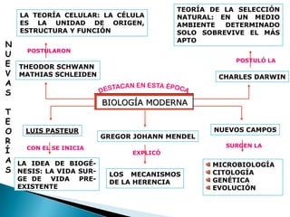 TEORÍA DE LA SELECCIÓN
    LA TEORÍA CELULAR: LA CÉLULA          NATURAL: EN UN MEDIO
    ES LA UNIDAD DE ORIGEN,               AMBIENTE  DETERMINADO
    ESTRUCTURA Y FUNCIÓN                  SOLO SOBREVIVE EL MÁS
                                          APTO
N
      POSTULARON
U
                                                      POSTULÓ LA
E   THEODOR SCHWANN
V   MATHIAS SCHLEIDEN                             CHARLES DARWIN
A
S
                          BIOLOGÍA MODERNA
T
E
O     LUIS PASTEUR                               NUEVOS CAMPOS
                          GREGOR JOHANN MENDEL
R                                                   SURGEN LA
      CON EL SE INICIA
Í                               EXPLICÓ
A   LA IDEA DE BIOGÉ-                            MICROBIOLOGÍA
S   NESIS: LA VIDA SUR-                          CITOLOGÍA
                           LOS MECANISMOS
    GE DE VIDA PRE-                              GENÉTICA
                           DE LA HERENCIA
    EXISTENTE                                    EVOLUCIÓN
 