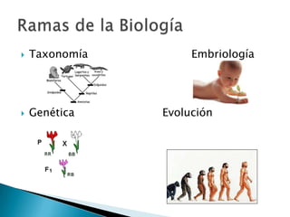    Taxonomía        Embriología




   Genética    Evolución
 