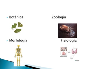    Botánica     Zoología




   Morfología        Fisiología
 