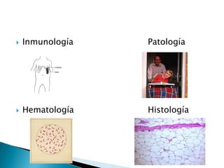    Inmunología   Patología




   Hematología   Histología
 