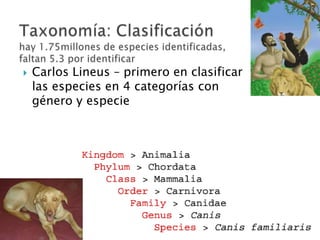    Carlos Lineus – primero en clasificar
    las especies en 4 categorías con
    género y especie
 