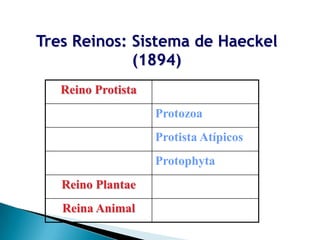 Tres Reinos: Sistema de Haeckel
             (1894)
   Reino Protista
                    Protozoa
                    Protista Atípicos
                    Protophyta
   Reino Plantae
   Reina Animal
 
