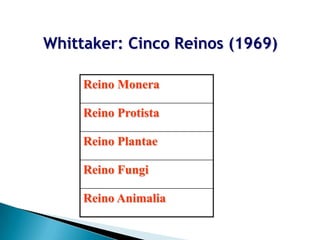 Whittaker: Cinco Reinos (1969)

     Reino Monera

     Reino Protista

     Reino Plantae

     Reino Fungi

     Reino Animalia
 