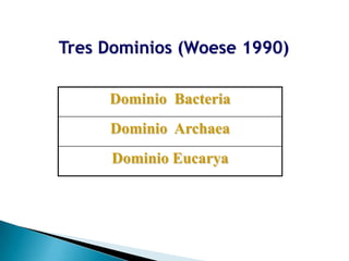 Tres Dominios (Woese 1990)

     Dominio Bacteria
     Dominio Archaea
     Dominio Eucarya
 