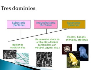Eubacteria      Arqueobacteria          Eucarionta
  (Bacteria)        (Archaea)             (Eukarya)



                                         Plantas, hongos,
                Usualmente viven en     animales, protistas
                 ambientes difíciles
  Bacterias       (ambientes con
tradicionales   metáno, azufre, etc.)
 