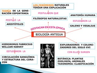 LOS FENÓMENOS NATURALES
                       TENÍAN UNA EXPLICACIÓN
TEORÍA DE LA GENE-
RACIÓN ESPONTÁNEA         POSTULARON QUE
                                                  ANATOMÍA HUMANA
                       FILÓSOFOS NATURALISTAS
  POSTULÓ LA                                       ESTUDIARON LA
   ARISTÓTELES
                                                 GALENO Y VESALIUS



                         BIOLOGÍA ANTIGUA


HIERONIMUS FABRICIUS                       EXPLORADORES Y COLONI-
WILLIAN HARVEY                             ZADORES DEL SIGLO XVI
   ESTUDIARON LA                                CON ELLOS SURGEN

CIRCULACIÓN SANGUÍNEA
Y ESTRUCTURA DEL CORA-                 BOTÁNICA: PLANTAS
ZON                                    ZOOLOGÍA: ANIMALES
                                       TAXONOMÍA: CLASIFICACIÓN
 