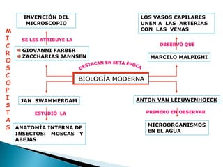 INVENCIÓN DEL                      LOS VASOS CAPILARES
       MICROSCOPIO                       UNEN A LAS ARTERIAS
M                                        CON LAS VENAS
I    SE LES ATRIBUYE LA
C                                                OBSERVÓ QUE
     GIOVANNI FARBER
R    ZACCHARIAS JANNSEN                       MARCELO MALPIGHI
O
S
C
                          BIOLOGÍA MODERNA
O
P
I    JAN SWAMMERDAM                     ANTON VAN LEEUWENHOECK
S
T        ESTUDIÓ LA                          PRIMERO EN OBSERVAR
A
                                             MICROORGANISMOS
S   ANATOMÍA INTERNA DE
                                             EN EL AGUA
    INSECTOS: MOSCAS Y
    ABEJAS
 