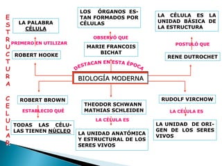 LOS ÓRGANOS ES-
E                       TAN FORMADOS POR       LA CÉLULA ES LA
                                               UNIDAD BÁSICA DE
S LA PALABRA            CÉLULAS
                                               LA ESTRUCTURA
      CÉLULA
T
                            OBSERVÓ QUE
R PRIMERO EN UTILIZAR
                                                     POSTULÓ QUE
U                         MARIE FRANCOIS
C ROBERT HOOKE                BICHAT
                                                  RENE DUTROCHET
T
U
R                       BIOLOGÍA MODERNA
A

C    ROBERT BROWN                               RUDOLF VIRCHOW
E                        THEODOR SCHWANN
      ESTABLECIO QUÉ     MATHIAS SCHLEIDEN         LA CÉLULA ES
L
U                            LA CÉLULA ES
    TODAS LAS CÉLU-                            LA UNIDAD DE ORI-
L   LAS TIENEN NÚCLEO                          GEN DE LOS SERES
A                       LA UNIDAD ANATÓMICA
                                               VIVOS
                        Y ESTRUCTURAL DE LOS
R                       SERES VIVOS
 
