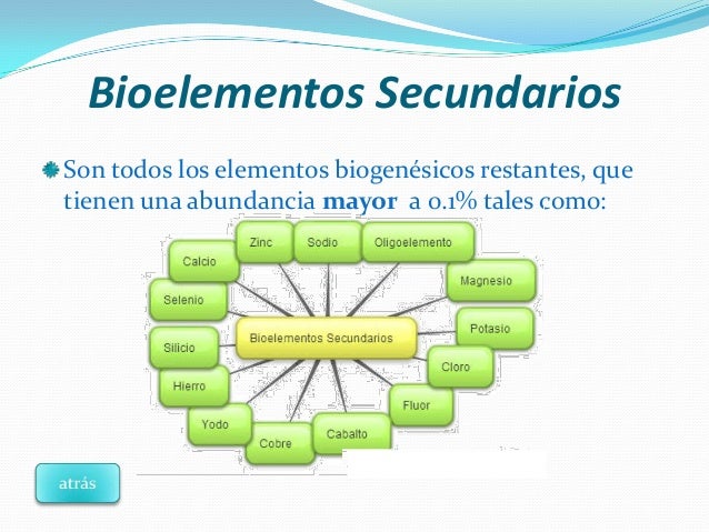 BIOELEMENTOS Y EL AGUA