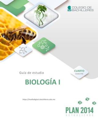 BIOLOGÍA I
Guía de estudio
CUARTO
SEMESTRE
https://huelladigital.cbachilleres.edu.mx
 
