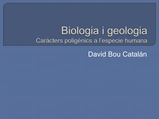 David Bou Catalán
 