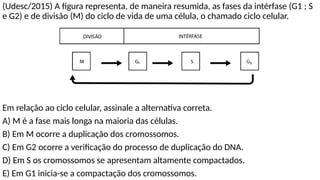 (Udesc/2015) A figura representa, de maneira resumida, as fases da intérfase (G1 ; S
e G2) e de divisão (M) do ciclo de vida de uma célula, o chamado ciclo celular.
Em relação ao ciclo celular, assinale a alternativa correta.
A) M é a fase mais longa na maioria das células.
B) Em M ocorre a duplicação dos cromossomos.
C) Em G2 ocorre a verificação do processo de duplicação do DNA.
D) Em S os cromossomos se apresentam altamente compactados.
E) Em G1 inicia-se a compactação dos cromossomos.
 
