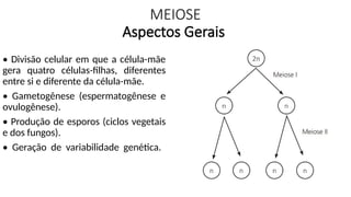 MEIOSE
Aspectos Gerais
• Divisão celular em que a célula-mãe
gera quatro células-filhas, diferentes
entre si e diferente da célula-mãe.
• Gametogênese (espermatogênese e
ovulogênese).
• Produção de esporos (ciclos vegetais
e dos fungos).
• Geração de variabilidade genética.
 