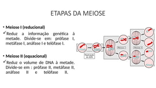 ETAPAS DA MEIOSE
• Meiose I (reducional)
Reduz a informação genética à
metade. Divide-se em: prófase I,
metáfase I, anáfase I e telófase I.
• Meiose II (equacional)
Reduz o volume de DNA à metade.
Divide-se em : prófase II, metáfase II,
anáfase II e telófase II.
 