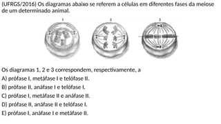 (UFRGS/2016) Os diagramas abaixo se referem a células em diferentes fases da meiose
de um determinado animal.
Os diagramas 1, 2 e 3 correspondem, respectivamente, a
A) prófase I, metáfase I e telófase II.
B) prófase II, anáfase I e telófase I.
C) prófase I, metáfase II e anáfase II.
D) prófase II, anáfase II e telófase I.
E) prófase I, anáfase I e metáfase II.
 