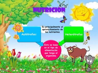 Esto se basa
en el tipo de
alimentación
que tenga el
organismo
Autótrofos: Heterótrofos
Es principalmente el
aprovechamiento de
los nutrientes
 