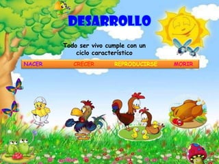 DESARROLLO
Todo ser vivo cumple con un
ciclo característico
NACER CRECER REPRODUCIRSE MORIR
 