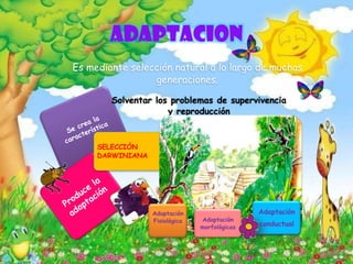 ADAPTACION
Es mediante selección natural a lo largo de muchas
generaciones.
Solventar los problemas de supervivencia
y reproducción
SELECCIÓN
DARWINIANA
Adaptación
Fisiológica Adaptación
morfológicas
Adaptación
conductual
 