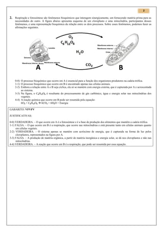 2

2. Respiração e fotossíntese são fenômenos bioquímicos que interagem sinergicamente, um fornecendo matéria prima para as
necessidades do outro. A figura abaixo apresenta esquema de um cloroplasto e uma mitocôndria, participantes desses
fenômenos, e uma representação bioquímica da relação entre os dois processos. Sobre esses fenômenos, podemos fazer as
afirmações seguintes.

0-0) O processo bioquímico que ocorre em A é essencial para a função dos organismos produtores na cadeia trófica.
1-1) O processo bioquímico que ocorre em B é encontrado apenas nas células animais.
2-2) Embora a relação entre A e B seja cíclica, ela só se mantém com energia externa, que é capturada por A e acrescentada
ao sistema.
3-3) Na figura, o C6H12O6 é resultante do processamento de gás carbônico, água e energia solar nas mitocôndrias dos
vegetais.
4-4) A reação química que ocorre em B pode ser resumida pela equação:
6O2 + C6H12O6  6CO2 + 6H2O + Energia
GABARITO: VFVFV
JUSTIFICATIVAS:
0-0) VERDADEIRA. – O que ocorre em A é a fotossíntese e é a base de produção dos alimentos que mantêm a cadeia trófica.
1-1) FALSA. – O que ocorre em B é a respiração, que ocorre nas mitocôndrias e está presente tanto em células animais quanto
em células vegetais.
2-2) VERDADEIRA. – O sistema apenas se mantém com acréscimo de energia, que é capturada na forma de luz pelos
cloroplastos, representados na figura por A.
3-3) FALSA. – A produção de matéria orgânica, a partir de matéria inorgânica e energia solar, se dá nos cloroplastos e não nas
mitocôndrias.
4-4) VERDADEIRA. – A reação que ocorre em B é a respiração, que pode ser resumida por essa equação.

 