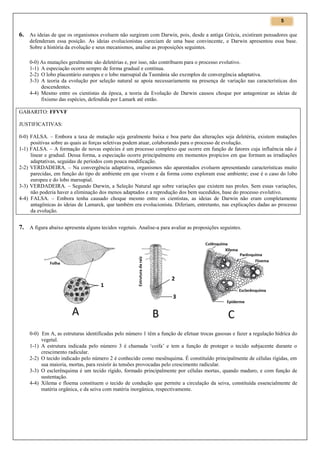 5

6. As ideias de que os organismos evoluem não surgiram com Darwin, pois, desde a antiga Grécia, existiram pensadores que
defenderam essa posição. As ideias evolucionistas careciam de uma base convincente, e Darwin apresentou essa base.
Sobre a história da evolução e seus mecanismos, analise as proposições seguintes.
0-0) As mutações geralmente são deletérias e, por isso, não contribuem para o processo evolutivo.
1-1) A especiação ocorre sempre de forma gradual e contínua.
2-2) O lobo placentário europeu e o lobo marsupial da Tasmânia são exemplos de convergência adaptativa.
3-3) A teoria da evolução por seleção natural se apoia necessariamente na presença de variação nas características dos
descendentes.
4-4) Mesmo entre os cientistas da época, a teoria da Evolução de Darwin causou choque por antagonizar as ideias de
fixismo das espécies, defendida por Lamark até então.
GABARITO: FFVVF
JUSTIFICATIVAS:
0-0) FALSA. – Embora a taxa de mutação seja geralmente baixa e boa parte das alterações seja deletéria, existem mutações
positivas sobre as quais as forças seletivas podem atuar, colaborando para o processo de evolução.
1-1) FALSA. – A formação de novas espécies é um processo complexo que ocorre em função de fatores cuja influência não é
linear e gradual. Dessa forma, a especiação ocorre principalmente em momentos propícios em que formam as irradiações
adaptativas, seguidas de períodos com pouca modificação.
2-2) VERDADEIRA. – Na convergência adaptativa, organismos não aparentados evoluem apresentando características muito
parecidas, em função do tipo de ambiente em que vivem e da forma como exploram esse ambiente; esse é o caso do lobo
europeu e do lobo marsupial.
3-3) VERDADEIRA. – Segundo Darwin, a Seleção Natural age sobre variações que existem nas proles. Sem essas variações,
não poderia haver a eliminação dos menos adaptados e a reprodução dos bem sucedidos, base do processo evolutivo.
4-4) FALSA. – Embora tenha causado choque mesmo entre os cientistas, as ideias de Darwin não eram completamente
antagônicas às ideias de Lamarck, que também era evolucionista. Diferiam, entretanto, nas explicações dadas ao processo
da evolução.

7. A figura abaixo apresenta alguns tecidos vegetais. Analise-a para avaliar as proposições seguintes.

0-0) Em A, as estruturas identificadas pelo número 1 têm a função de efetuar trocas gasosas e fazer a regulação hídrica do
vegetal.
1-1) A estrutura indicada pelo número 3 é chamada ‘coifa’ e tem a função de proteger o tecido subjacente durante o
crescimento radicular.
2-2) O tecido indicado pelo número 2 é conhecido como mesênquima. É constituído principalmente de células rígidas, em
sua maioria, mortas, para resistir às tensões provocadas pelo crescimento radicular.
3-3) O esclerênquima é um tecido rígido, formado principalmente por células mortas, quando maduro, e com função de
sustentação.
4-4) Xilema e floema constituem o tecido de condução que permite a circulação da seiva, constituída essencialmente de
matéria orgânica, e da seiva com matéria inorgânica, respectivamente.

 