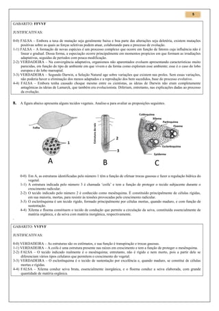 5

GABARITO: FFVVF
JUSTIFICATIVAS:
0-0) FALSA – Embora a taxa de mutação seja geralmente baixa e boa parte das alterações seja deletéria, existem mutações
positivas sobre as quais as forças seletivas podem atuar, colaborando para o processo de evolução.
1-1) FALSA – A formação de novas espécies é um processo complexo que ocorre em função de fatores cuja influência não é
linear e gradual. Dessa forma, a especiação ocorre principalmente em momentos propícios em que formam as irradiações
adaptativas, seguidas de períodos com pouca modificação.
2-2) VERDADEIRA – Na convergência adaptativa, organismos não aparentados evoluem apresentando características muito
parecidas, em função do tipo de ambiente em que vivem e da forma como exploram esse ambiente; esse é o caso do lobo
europeu e do lobo marsupial.
3-3) VERDADEIRA – Segundo Darwin, a Seleção Natural age sobre variações que existem nas proles. Sem essas variações,
não poderia haver a eliminação dos menos adaptados e a reprodução dos bem sucedidos, base do processo evolutivo.
4-4) FALSA – Embora tenha causado choque mesmo entre os cientistas, as ideias de Darwin não eram completamente
antagônicas às ideias de Lamarck, que também era evolucionista. Diferiam, entretanto, nas explicações dadas ao processo
da evolução.

8. A figura abaixo apresenta alguns tecidos vegetais. Analise-a para avaliar as proposições seguintes.

0-0) Em A, as estruturas identificadas pelo número 1 têm a função de efetuar trocas gasosas e fazer a regulação hídrica do
vegetal.
1-1) A estrutura indicada pelo número 3 é chamada ‘coifa’ e tem a função de proteger o tecido subjacente durante o
crescimento radicular.
2-2) O tecido indicado pelo número 2 é conhecido como mesênquima. É constituído principalmente de células rígidas,
em sua maioria, mortas, para resistir às tensões provocadas pelo crescimento radicular.
3-3) O esclerênquima é um tecido rígido, formado principalmente por células mortas, quando maduro, e com função de
sustentação.
4-4) Xilema e floema constituem o tecido de condução que permite a circulação da seiva, constituída essencialmente de
matéria orgânica, e da seiva com matéria inorgânica, respectivamente.
.

GABARITO: VVFVF
JUSTIFICATIVAS:
0-0) VERDADEIRA – As estruturas são os estômatos, e sua função é transpiração e trocas gasosas.
1-1) VERDADEIRA – A coifa é uma estrutura presente nas raízes em crescimento e tem a função de proteger o mesênquima.
2-2) FALSA – O tecido indicado realmente é o mesênquima; entretanto, não é rígido e nem morto, pois a partir dele se
diferenciam vários tipos celulares que permitem o crescimento do vegetal.
3-3) VERDADEIRA – O esclerênquima é o tecido de sustentação por excelência e, quando maduro, se constitui de células
mortas e rígidas.
4-4) FALSA – Xilema conduz seiva bruta, essencialmente inorgânica, e o floema conduz a seiva elaborada, com grande
quantidade de matéria orgânica.

 
