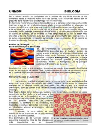 UNMSM BIOLOGÍA
De la misma manera se transportan en el plasma las sustancias básicas de los
alimentos desde el intestino hacia todas las células. Esas sustancias básicas son el
producto de la digestión en el estómago y en los intestinos.
De la misma manera llegan las sustancias tóxicas a la sangre; sustancias que han sido
ingeridas o que se han producido durante algún proceso metabólico en el cuerpo, se
transportan al hígado para su descomposición o a los riñones para ser desechadas.
A la persona que practica deporte la piel se le torna roja y la circulación sanguínea
aumenta; de esa manera se transporta hacia afuera y se libera el calor producido por
el cuerpo en ejercicio. En el invierno las vías sanguíneas de la piel se hacen más
angostas y de esta manera se evita que el cuerpo pierda mucho calor (cara pálida), o
se evitan congelaciones (circulación aumentada y cara enrojecida). En el plasma se
transportan también hormonas y vitaminas.
Células de la Sangre
Los Glóbulos rojos o Eritrocitos
En los mamíferos se presentan como células
relativamente pequeñas que al madurar pierden su
núcleo y otros organelos, por ejemplo mitocondrias. Los
glóbulos rojos están formados principalmente por la
proteína conjugada Hemoglobina, molécula compleja
que contiene una proteína globular y una porfirina
denominada Heme. La hemoglobina es la principal
proteína de transporte de oxígeno.
Una hormona renal, la eritropoyetina, se encarga de regular la producción de glóbulos
rojos. En los adultos, la médula ósea (tejido esponjoso interno) de los huesos largos
es la principal fuente de los nuevos eritrocitos ; en el feto los produce el hígado.
Glóbulos Blancos o Leucocitos
Los leucocitos o glóbulos blancos, que existen en mucha menor cantidad que los
eritrocitos, pero poseen un tamaño dos veces, mayor, se encargan de diferentes
maneras de la defensa contra las infecciones. Así hay algunos que producen
anticuerpos, otros se comen a los causantes de las enfermedades que han ingresado
al cuerpo.
Para llegar a todas partes del cuerpo, pueden, como las amebas, abandonar los vasos
sanguíneos en los capilares, y así atacar a los
productores de enfermedades en los tejidos
fuera de las vías sanguíneas. Este paso a través
de las paredes vasculares es llamado
diapédesis. Al contrario de los eritrocitos, los
leucocitos son células completas con núcleo y de
un citoplasma viscoso y granulado, además
pueden partirse.
El número de estas células es muy
inferior al de los eritrocitos, en un mm³ existen
de 8.000 a 9.000 leucocitos.
Una disminución de los Glóbulos blancos se
denomina leucopenia. Una de las alteraciones
más importantes en los órganos
 