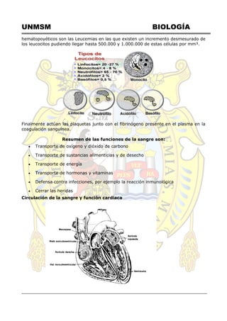 UNMSM BIOLOGÍA
hematopoyéticos son las Leucemias en las que existen un incremento desmesurado de
los leucocitos pudiendo llegar hasta 500.000 y 1.000.000 de estas células por mm³.
Finalmente actúan las plaquetas junto con el fibrinógeno presente en el plasma en la
coagulación sanguínea.
Resumen de las funciones de la sangre son:
 Transporte de oxígeno y dióxido de carbono
 Transporte de sustancias alimenticias y de desecho
 Transporte de energía
 Transporte de hormonas y vitaminas
 Defensa contra infecciones, por ejemplo la reacción inmunológica
 Cerrar las heridas
Circulación de la sangre y función cardiaca
 