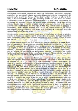UNMSM BIOLOGÍA
mecanismo inmunológico (anticuerpos frente al estreptococo que dañan proteínas
específicas del glomérulo) (véanse conceptos básicos del sistema inmunológico). El
paciente sufre escalofríos, fiebre, cefalea, dolor lumbar, hinchazón o edema de la
cara, en especial alrededor de los ojos, náuseas y vómitos. La orina puede ser escasa
y de aspecto turbio. El pronóstico suele ser positivo y la mayoría de los pacientes se
recuperan sin secuelas, aunque en algunos casos evolucionan hacia una nefritis
crónica. En este tipo de nefritis la lesión renal progresa durante años en los que el
paciente está asintomático. Sin embargo, al final hay uremia (urea en sangre) e
insuficiencia renal. Existe además otro grupo de glomerulonefritis de causa
desconocida, quizá autoinmune, que tienen peor pronóstico y evolucionan con más
rapidez hacia la insuficiencia renal.
Otro trastorno frecuente es el denominado síndrome nefrótico, en el que se pierden
grandes cantidades de albúmina por la orina debido al aumento de la permeabilidad
renal, con edema generalizado, aumento del colesterol en la sangre y un flujo de orina
casi normal.
La hidronefrosis es el resultado de la obstrucción del flujo de orina en la vía excretora,
que casi siempre es consecuencia de anomalías congénitas de los uréteres o de una
hipertrofia prostática. La nefroesclerosis, o endurecimiento de las pequeñas arterias
que irrigan el riñón, es un trastorno caracterizado por la presencia de albúmina,
cilindros, y en ocasiones hematíes o leucocitos en la orina (hematuria y leucocituria).
Por lo general se acompaña de enfermedad vascular hipertensiva. La lesión
fundamental es la esclerosis de las pequeñas arterias del riñón con atrofia secundaria
de los glomérulos y cambios patológicos en el tejido intersticial.
Los cálculos renales, o piedras en el riñón, se pueden formar en éste o en la pelvis
renal por depósitos de cristales presentes en la orina. La mayoría de ellos son cristales
de oxalato de calcio. La infección o una obstrucción, pueden desempeñar un
importante papel en su formación. En algunas ocasiones aparecen cuando el nivel de
calcio en la sangre se eleva de forma anormal como en los trastornos de las glándulas
paratiroides. En otros casos aparecen cuando el nivel de ácido úrico en la sangre es
demasiado alto (véase Gota), por lo general debido a una dieta inadecuada y un
consumo excesivo de alcohol. La ingestión excesiva de calcio y oxalato en la dieta,
junto con un aporte escaso de líquidos, pueden favorecer también la aparición de
cálculos. Sin embargo, en la mayoría de los casos la causa es desconocida. Los
cálculos pueden producir hemorragia, infección secundaria u obstrucción. Cuando su
tamaño es pequeño, tienden a descender por el uréter hacia la vejiga asociados con
un dolor muy intenso. El dolor cólico producido por los cálculos requiere tratamiento
con analgésicos potentes o espasmolíticos, y puede aparecer de forma súbita tras el
ejercicio muscular. Una vez que el cálculo alcanza la vejiga, es posible que sea
expulsado por la orina de forma inadvertida, desapareciendo el dolor. Si el cálculo es
demasiado grande para ser expulsado, es necesario recurrir a la cirugía o a la
litotricia, procedimiento que utiliza ondas de choque generadas por un aparato
localizado fuera del organismo, para desintegrar los cálculos.
 