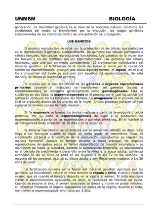 UNMSM BIOLOGÍA
generación. La diversidad genética es la base de la selección natural; conforme las
condiciones del medio se transforman por la evolución, los rasgos genéticos
sobrevivientes de los individuos dentro de una población se propagarán.
LOS GAMETOS
El proceso reproductivo se inicia con la producción de las células que participan
en la reproducción o gametos. Genéticamente, los gametos son células germinales o
células sexuales, son células reproductoras funcionales. Los gametos de la mujer son
los huevos y en los hombres son los espermatozoides. Los gametos son células
haploides, cada una con un medio complemento (23 cromosomas individuales) del
material genético. La fertilización de la célula del huevo el óvulo por la célula del
semen un espermatozoide, produce una célula diploide normal, el cigoto, en el cual
los cromosomas del óvulo se aparejan con aquéllos del espermatozoide, de esta
manera, se realiza la diversidad genética.
El proceso por el cual las células de las gónadas u órganos reproductores
primarios (ovarios y testículos) se transforman en gametos (óvulos o
espermatozoides) se denomina genéricamente como gametogénesis. Esta se
subdivide en dos tipos: la espermatogenesis es el proceso por el cual las células del
semen se producen en los testículos del hombre. La ovogénesis es el proceso por el
cual se producen óvulos en los ovarios de la mujer. Ambos procesos incluyen un tipo
especial de división celular llamada meiosis.
En la oogénesis se forman los óvulos maduros a partir de la ovogonia o célula
primitiva. Por su parte la espermatogénesis da lugar a la producción de
espermatozoides a partir de las espermátides o gametos primitivos. En el hombre la
gametogénesis tarda alrededor de 70 días y en la mujer 28.
El sistema reproductor se caracteriza por el desarrollo latente; es decir, sólo
llega a ser funcional cuando se logra un cierto grado de crecimiento físico. El
crecimiento corporal y el estímulo de la maduración reproductiva se regulan de
manera hormonal. Aunque se forman durante la etapa prenatal, los órganos
reproductores de ambos sexos se hallan desarrollados de manera incompleta y se
mantienen así hasta la pubertad, durante la adolescencia temprana. La adolescencia
es el periodo de crecimiento y desarrollo entre la niñez y la etapa adulta; comienza
alrededor de los 10 años de edad en las mujeres y de los 12 en los varones. La
mayoría de las personas alcanza su altura adulta y son físicamente maduros a los 20
años de edad.
La fertilización consiste en la fusión del material genético aportado por los
gametos. La fecundación natural se inicia durante la cópula o coito, el acto o relación
sexual, que es cuando el hombre deposita en la vagina el semen. El coito mantiene
viable el espermatozoide eyaculado, es decir, la capacidad de fertilizar un óvulo.
Cuando se expone al aire, el semen eyaculado se diseca y muere en pocos minutos;
su descarga mediante el órgano copulatorio (el pene) en la vagina, durante el coito,
mantienen el espermatozoide vivo hasta por 5 días.
 