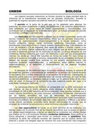 UNMSM BIOLOGÍA
Los órganos sexuales masculinos se forman durante la etapa prenatal bajo la
influencia de la testosterona secretada por las gónadas (testículos). Durante la
pubertad los órganos sexuales secundarios maduran y llegan a ser funcionales.
El escroto es la parte de la piel que se ha adaptado para albergar los
testículos, se sitúan posteriores al pene, los epidídimos y los cordones espermáticos.
Está constituido por varias capas de tejidos superpuestos y vascularizados, que
contribuyen con la regulación de la temperatura local. La función principal del escroto
es encerrar y proteger a los testículos.
Los testículos son dos órganos ovaladas que se hallan suspendidos dentro del
escroto mediante los cordones espermáticos. Estos son las gónadas masculinas y
producen los espermatozoides (espermatogénesis) y el líquido testicular; como
función endocrina, liberan varias hormonas esteroides masculinas, como la
testosterona. Cada testículo es un órgano ovalado blanquecino que mide alrededor de
4 cm. de longitud y 2.5 de diámetro. Dos capas de tejidos o túnicas, cubren a los
testículos. La túnica vaginal externa es un saco delgado que se deriva del peritoneo
durante el descenso prenatal de los testículos al escroto. La túnica albugínea es una
membrana fibrosa resistente que cubre los testículos y que con sus prolongaciones
internas los divide en 250 a 300 lobulillos en forma de cuñas. En esta túnica se
encierra la sustancia testicular o estroma, responsable de las principales funciones. El
tabique del escroto separa cada testículo en sus propios compartimientos. Los
testículos producen espermatozoides y andrógenos; estos últimos regulan la
espermatogénesis y el desarrollo y funcionamiento de los órganos sexuales
secundarios.
El descenso de los testículos hacia el escroto comienza durante la semana 28
del desarrollo prenatal y normalmente se completa en la semana 29. Cuando durante
el nacimiento uno o ambos testículos no se encuentran en el escroto, criptorquidia, el
descenso podría inducirse con la administración de ciertas hormonas. En caso de falla
de este procedimiento, es necesario realizar cirugía, por lo general antes de los cinco
años de edad. El fracaso en la corrección de este trastorno puede dar lugar a la
esterilidad, tumores en testículos
La estructura interna del testículo es comparable con el corte transversal de
una naranja, ya que la túnica albugínea envía tabiques al interior del estroma,
dividiéndole en 200 a 300 lobulillos de forma piramidal. Cada lobulillo contiene uno a
cuatro túbulos seminiferos de curso tortuoso, estructuras recubiertas internamente
por un epitelio seminífero del cual se diferencian los espermatozoides
(espermatogénesis) a partir de las células proliferantes conocidas como espermátides.
Entre las sinuosidades de los túbulos discurren vasos capilares y linfáticos y se hallan
ciertas células secretoras conocidas como células intersticiales de Leydig, que se
encargan de sintetizar la testosterona y otras hormonas esteroides masculinas.
Las vías espermáticas se inician en el nivel estromal de los testículos. Los
túbulos rectos son la porción final de los túbulos seminíferos que no posee un epitelio
con células espermatogénicas, originan un laberinto de conductos con células ciliadas
que finaliza en 12 a 20 conductos llamados conductos deferentes. Éstos perforan la
túnica albugínea y convergen para formar un conducto único, el epidídimo. Éste
constituye la parte del conducto excretor del esperma que se localiza dentro del
testículo y posee una delgada capa de músculo liso cuya contracción hace progresar
 