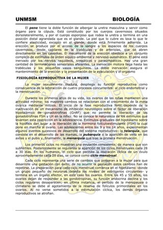 UNMSM BIOLOGÍA
El pene tiene la doble función de albergar la uretra masculina y servir como
órgano para la cópula. Está constituido por los cuerpos cavernosos situados
dorsolateralmente, y por el cuerpo esponjoso que rodea la uretra y termina en una
posición distal agrandada que es el glande. La piel que lo cubre es laxa lo que le
confiere elasticidad, excepto en el glande, donde está firmemente adherida. La
erección se produce por el acceso de la sangre a los espacios de los cuerpos
cavernosos, desde capilares de la trabéculas y de arteriolas, que se abren
directamente en las cavernas. El mecanismo de la erección obedece a un conjunto
complejo de estímulos de orden síquico-ambiental y nervioso-automático. El pene está
inervado por los nervios raquídeos, simpáticos y parasimpáticos. Hay una gran
cantidad de terminaciones sensoriales aferentes. La inervación motora llega hasta las
trabéculas y los pequeños vasos sanguíneos. La doble inervación asegura el
mantenimiento de la erección y la presentación de la eyaculación y el orgasmo
FISIOLOGÍA REPRODUCTIVA DE LA MUJER
La mujer sexualmente madura, despliega su función reproductiva como
consecuencia de la interacción de cuatro procesos concurrentes: al ciclo endometrial y
la menstruación.
Durante los primeros años de su vida, los ovarios de las niñas mantienen una
actividad mínima; los mayores cambios se relacionan con el crecimiento de la masa
ovárica mediante mitosis. El inicio de la fase reproductiva fértil depende de la
inactivación de un mecanismo de inhibición neurológico sobre el factor de liberación
hipotalámico de gonadotrofinas (GnRF) que no permite la liberación de las
gonadotrofinas FSH y LH en la niñez. No se conoce la naturaleza de los estímulos que
levantan esta restricción en la adolescencia. Estímulos graduales del hipotálamo sobre
la hipófisis dan lugar a la liberación de la hormona folículoestimulante (FSH) la cual
pone en marcha al ovario. Las adolescentes entre los 9 y los 14 años, experimentan
algunos eventos sucesivos de desarrollo del sistema reproductivo: la telarquía, que
consiste en el desarrollo de las mamas, la pubarquía o la aparición de vello en las
axilas y el pubis y, finalmente, la menarquía que trae la primera menstruación.
Los primeros ciclos no muestran una ovulación consistente, de manera que son
subfértiles. Posteriormente se regulariza la aparición de los ciclos menstruales cada 28
a 30 días. En los humanos, el ciclo que permite la liberación cíclica de un óvulo
aproximadamente cada 28 días, se conoce como ciclo menstrual.
Cada ciclo representa una serie de cambios que preparan a la mujer para que
desarrolle una gestación con éxito; de no ocurrir la gestación estos cambios han de
repetirse. La preparación para cada ciclo menstrual comienza en el hipotálamo -donde
un grupo pequeño de neuronas detecta los niveles de estrógenos circulantes- y
termina en un órgano efector, en este caso los ovarios. Entre los 45 y 55 años, los
ovarios dejan de responder a las gondotropinas, su función endocrina declina y los
ciclos regulares desaparecen; en última instancia, el período de la menopausia o
climaterio se debe al agotamiento de la reserva de folículos primordiales en los
ovarios. Al no verse sometidos a la estimulación cíclica, los demás órganos
reproductivos se atrofian.
 