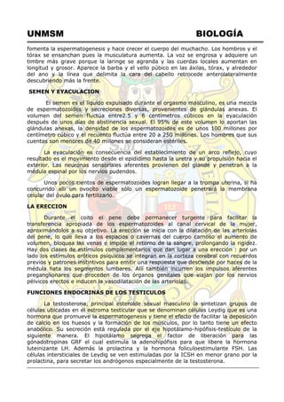 UNMSM BIOLOGÍA
fomenta la espermatogenesis y hace crecer el cuerpo del muchacho. Los hombros y el
tórax se ensanchan pues la musculatura aumenta. La voz se engrosa y adquiere un
timbre más grave porque la laringe se agranda y las cuerdas locales aumentan en
longitud y grosor. Aparece la barba y el vello púbico en las áxilas, tórax, y alrededor
del ano y la línea que delimita la cara del cabello retrocede anterolateralmente
descubriendo más la frente.
SEMEN Y EYACULACION
El semen es el líquido expulsado durante el orgasmo masculino, es una mezcla
de espermatozoides y secreciones diversas, provenientes de glándulas anexas. El
volumen del semen fluctúa entre2.5 y 6 centímetros cúbicos en la eyaculación
después de unos días de abstinencia sexual. El 95% de este volumen lo aportan las
glándulas anexas, la densidad de los espermatozoides es de unos 100 millones por
centímetro cúbico y el recuento fluctúa entre 20 a 250 millones. Los hombres que sus
cuentas son menores de 40 millones se consideran estériles.
La eyaculación es consecuencia del establecimiento de un arco reflejo, cuyo
resultado es el movimiento desde el epidídimo hasta la uretra y su propulsión hacia el
exterior. Las neuronas sensoriales aferentes provienen del glande y penetran a la
médula espinal por los nervios pudendos.
Unos pocos cientos de espermatozoides logran llegar a la trompa uterina, si ha
concurrido alli un ovocito viable sólo un espermatozoide penetrará la membrana
celular del óvulo para fertilizarlo.
LA ERECCION
Durante el coito el pene debe permanecer turgente para facilitar la
transferencia apropiada de los espermatozoides al canal cervical de la mujer,
aproximándolos a su objetivo. La erección se inicia con la dilatación de las arteriolas
del pene, lo que lleva a los espacios o cavernas del cuerpo carnoso el aumento de
volumen, bloquea las venas e impide el retorno de la sangre, prolongando la rigidez.
Hay dos clases de estímulos complementarios que dan lugar a una erección : por un
lado los estímulos eróticos psíquicos se integran en la corteza cerebral con recuerdos
previos y patrones instintivos para emitir una respuesta que desciende por haces de la
médula hata los segmentos lumbares. Allí también incurren los impulsos aferentes
preganglionares que proceden de los órganos genitales que viajan por los nervios
pélvicos erectos e inducen la vasodilatación de las arteriolas.
FUNCIONES ENDOCRINAS DE LOS TESTICULOS
La testosterona, principal esteroide sexual masculino la sintetizan grupos de
células ubicadas en el estroma testicular que se denominan células Leydig que es una
hormona que promueve la espermatogenesis y tiene el efecto de facilitar la deposición
de calcio en los huesos y la formación de los músculos, por lo tanto tiene un efecto
anabólico. Su secreción está regulada por el eje hipotálamo-hipófisis-testículo de la
siguiente manera. El hipotálamo segrega el factor de liberación para las
gónadotropinas GRF el cual estimula la adenohipófisis para que libere la hormona
luteinizante LH. Además la prolactina y la hormona foliculoestimulante FSH. Las
células intersticiales de Leydig se ven estimuladas por la ICSH en menor grano por la
prolactina, para secretar los andrógenos especialmente de la testosterona.
 