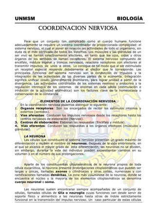 UNMSM BIOLOGÍA
COORDINACION NERVIOSA
Para que un conjunto tan complicado como el cuerpo humano funcione
adecuadamente se requiere un sistema coordinador de proporcionada complejidad: el
sistema nervioso, el cual al poner en relación las actividades de todo el organismo, sin
duda es el más intrincado de todos los sistemas. Los músculos y las glándulas de un
ser vivo se llaman colectivamente efectores, en tanto que los ojos, oídos y otros
órganos de los sentidos se llaman receptores. El sistema nervioso compuesto de
encéfalo, médula espinal y troncos nerviosos, relaciona receptores con efectores al
transmitir impulsos de unos a otros. Lo consigue de tal modo que al ser estimulado
un receptor especial responde debidamente al efector que le corresponde. Las
principales funciones del sistema nervioso son la conducción de impulsos y la
integración de las actividades de las diversas partes de la economía. Integración
significa unificar cosas, generalmente disimilares, para lograr unidad a partir de la
divergencia. Las actividades coordinadas de los sistemas nervioso y endocrino y la
regulación intrinseca de los sistemas de enzimas en cada célula (estimulación e
inhibición de la actividad enzimática) son los factores clave de la homeostasia o
conservación de la constancia
ELEMENTOS DE LA COORDINACIÓN NERVIOSA
En la coordinación nerviosa podemos distinguir lo siguiente:
1. Organos receptores: Son los encargados de recibir los estímulos internos y
externos (sentidos).
2. Vías aferentes: Conducen los impulsos nerviosos desde los receptores hasta los
centros nerviosos de elaboración (Nervios).
3. Centros de elaboración: Elaboran las respuestas (Encéfalo y médula).
4. Vías eferentes: Conducen las respuestas a los órganos efectores (músculos y
glándulas).
LA NEURONA
Las células que constituyen el sistema nervioso presentan un grado máximo de
diferenciación y reciben el nombre de neuronas. Después de la vida embrionaria, en
al que se alcanza el mayor grado de esta diferenciación, las neuronas no se dividen,
sin embargo, durante la vida del individuo pueden experimentar cambios en su
volumen y en el número de sus prolongaciones.
Aparte de los constituyentes citoplasmáticos de la neurona propios de toda
célula eucariótica, la neurona presenta prolongaciones citoplasmáticas que pueden ser
largas y únicas, llamadas axones o cilindroejes y otras cortas, numerosas y con
ramificaciones llamadas dendritas. La zona más voluminosa de la neurona, donde se
encuentra el núcleo y la mayoría de los elementos citoplasmáticos se denomina
cuerpo neuronal o soma.
Las neuronas suelen encontrarse siempre acompañadas de un conjunto de
células, llamadas células de Glía o neuroglia cuyas funciones van desde servir de
soporte físico y alimenticio a las neuronas hasta otras de índole estrictamente
funcional en la transmisión del impulso nervioso. Un caso particular de estas células
 