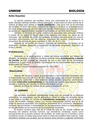 UNMSM BIOLOGÍA
Bulbo Raquídeo
La porción posterior del encéfalo, como una continuidad de la médula es el
bulbo raquídeo llamado también médula oblongada. A esta altura el canal central de la
médula se dilata para formar el cuarto ventrtículo ( hay otros tres en la intimidad
del cerebro). El techo del cuarto ventrículo es delgado y contiene un amontonamiento
de vasos sanguíneos que secretan parte del líquido cefaloraquídeo (el resto del mismo
se secreta por aglomeraciones vasculares semejantes en los otros ventrículos).
También en el techo del cuarto ventrículo se descubren tres diminutos orificios
a través de los cuales el líquido pasa a los espacios que dejan las capas de las
meninges. Las paredes del bulbo son gruesas, formadas principalmente por troncos
nerviosos comunicantes con las regiones superiores del cerebro. Internamente se
encuentran los núcleos de pares craneales V, VIII, IX, X, XI y XII.
Además de la función de conducir impulsos se encuentran los centros de la
respiración, cardíaco, dilatación y constricción de los vasos sanguíneos, deglución, de
la tos y vómito.
Protuberancia
Dispuesto en la parte anterior y media del tronco encefálico, por debajo del
cerebelo, se extiende un recio haz de fibras conocido como protuberancia o puente
de Varolio, el cual propaga los impulsos de uno a otro lado de los hemisferios
cerebelosos, lo que indica su función coordinadora de los movimientos musculares de
ambos lados del cuerpo.
De aquí emergen los pares craneales VI, VII y VIII.
Mesencéfalo
Delante del cerebelo y entre la protuberancia y los hemisferios cerebrales está
el mesencéfalo que mide de 15 a 20 mm. Posee dos caras: una anterior formada por
los pedúnculos cerebrales y otra posterior donde existen pequeñas prominencias
llamadas tubérculos cuadrigéminos, en los cuales hay centros para algunos reflejos
visuales y auditivos, por ejemplo la contracción pupilar a la luz
Además se hallan los núcleos de los pares craneales III, IV y V.
EL CEREBRO
Las porciones encefálicas consideradas hasta aquí son propias de la conducta
automática, sin aprendizaje, que en principio es similar en todos los animales, desde
el pez hasta el hombre. En cambio los hemisferios cerebrales , la parte anterior y
mayor del encéfalo humano, tienen una función básicamente distinta que es la de
dirigir la conducta aprendida. Los complejos fenómenos de la conciencia, inteligencia,
memoria, discernimiento e interpretación de las sensaciones tienen su base fisiológica
en las actividades de las neuronas de los hemisferios cerebrales.
El cerebro contiene algo más de la mitad del total de los 10,000 millones de
neuronas del sistema nervioso humano. Los hemisferios cerebrales crecen como
exhuberancias de la porción anterior del encéfalo, de modo que en el hombre y otros
mamíferos crecen en todas direcciones sobre el resto del encéfalo hasta cubrirlo. Cada
hemisferio contiene una cavidad, que se conocen como primero y segundo ventrículos
 