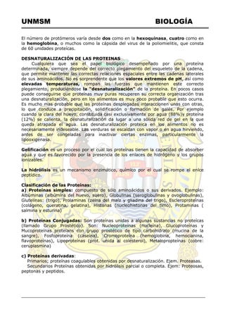 UNMSM BIOLOGÍA
El número de protómeros varía desde dos como en la hexoquinasa, cuatro como en
la hemoglobina, o muchos como la cápsida del virus de la poliomielitis, que consta
de 60 unidades proteícas.
DESNATURALIZACIÓN DE LAS PROTEINAS
Cualquiera que sea el papel biológico desempeñado por una proteína
determinada, siempre depende del correcto plegamiento del esqueleto de la cadena,
que permite mantener las correctas relaciones espaciales entre las cadenas laterales
de sus aminoácidos. No es sorprendente que los valores extremos de pH, así como
elevadas temperaturas, rompan las fuerzas que mantienen este correcto
plegamiento, produciéndose la "desnaturalización" de la proteína. En pocos casos
puede conseguirse que proteínas muy puras recuperen su correcta organización tras
una desnaturalización, pero en los alimentos es muy poco probable que esto ocurra.
Es mucho mas probable que las proteínas desplegadas interaccionen unas con otras,
lo que conduce a precipitación, solidificación o formación de galés. Por ejemplo
cuando la clara del huevo, constituida casi exclusivamente por agua (88%)y proteína
(12%) se calienta, la desnaturalización da lugar a una sólida red de gel en la que
queda atrapada el agua. Las desnaturalización proteica en los alimentos no es
necesariamente indeseable. Las verduras se escaldan con vapor o en agua hirviendo,
antes de ser congeladas para inactivar ciertas enzimas, particularmente la
lipooxigenasa.
Gelificación es un proceso por el cual las proteínas tienen la capacidad de absorber
agua y que es favorecido por la presencia de los enlaces de hidrógeno y los grupos
ionizables.
La hidrólisis es un mecanismo enzimático, químico por el cual se rompe el enlce
peptídico.
Clasificación de las Proteínas:
a) Proteínas simples: compuesto de sólo aminoácidos o sus derivados. Ejemplo:
Albúminas (albúmins del huevo, suero), Globulinas (seroglobulinas y ovoglobulinas),
Glutelinas: (trigo), Prolaminas (zeina del maíz y gliadina del trigo), Escleroproteínas
(colágeno, queratina, gelatina), Histonas (nucleohistonas del timo), Protaminas (
salmina y esturina)
b) Proteínas Conjugadas: Son proteínas unidas a algunas sustancias no proteícas
(llamado Grupo Prostético). Son: Nucleoproteínas (nucleína), Glucoproteínas y
Mucoproteínas proteíans con grupo prostético de tipo carbohidrato (mucina de la
sangre), Fosfoproteína (caseína), Cromoproteína (hemoglobina, hemocianina,
flavoproteínas), Lipoproteínas (prot. unida al colesterol), Metalopropteínas (cobre:
ceruplasmina)
c) Proteínas derivadas:
Primarios; proteínas coagulables obtenidas por desnaturalización. Ejem. Proteasas.
Secundarios Proteínas obtenidas por hidrólisis parcial o completa. Ejem: Proteosas,
peptonas y peptidos.
 