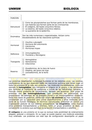 UNMSM BIOLOGÍA
FUNCION
Estructural
glucoproteínas que forman parte de las membranas.
histonas que forman parte de los cromosomas
colágeno, del tejido conjuntivo fibroso.
elastina, del tejido conjuntivo elástico.
queratina de la epidermis.
Enzimatica
Son las más numerosas y especializadas. Actúan como
biocatalizadores de las reacciones químicas
Hormonal
Insulina y glucagón
Hormona del crecimiento
Calcitonina
Hormonas tropas
Defensiva
Inmunoglobulina
Trombina y fibrinógeno
Transporte
Hemoglobina
Hemocianina
Citocromos
Reserva
Ovoalbúmina, de la clara de huevo
Gliadina, del grano de trigo
Lactoalbúmina, de la leche
esz
Las proteínas desempeñan numerosas funciones en los sistemas vivos. Las enzimas,
catalizadores de los que dependen todas las reacciones químicas que tienen lugar en
todos los procesos de la vida, son proteínas. Las moléculas transportadoras, como por
ejemplo la hemoglobina, que transporta el oxígeno en la sangre, o las permeasas,
que controlan el transporte de sustancias a través de las membranas celulares, a
menudo contra gradiente de concentración, también son proteínas. Otro grupo de
proteínas son las inmunoglobulinas, que constituyen los anticuerpos que
proporcionan las defensas de los animales frente a los microorganismos invasores.
Estas tres clases de proteínas, siendo con mucho las enzimas las mas numerosas, se
caracterizan por su capacidad para unirse específicamente a otras moléculas como
parte de su función fisiológica. En términos estructurales, presentan en común una
organización globular de sus cadenas polipeptídicas. La mioglobina, como muchas
otras proteínas transportadoras y enzimas, tiene un grupo prostético es decir, un
componente no proteico que participa en la función transportadora o catalítica
El colágeno es una proteína en la que se excluye toda posibilidad de ordenamiento
plegado, globular y compacto. En su lugar se puede esperar una molécula extendida
muy ordenada. Las proteínas con este tipo de configuración desempeña un papel
 