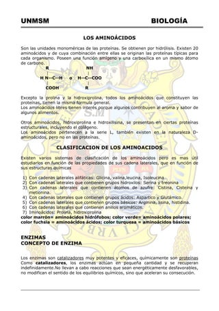 UNMSM BIOLOGÍA
LOS AMINOÁCIDOS
Son las unidades monoméricas de las proteínas. Se obtienen por hidrólisis. Existen 20
aminoácidos y de cuya combinación entre ellas se originan las proteínas típicas para
cada organismo. Poseen una función amígeno y una carboxílica en un mismo átomo
de carbono.
R NH
 
H N--C--H o H--C--COO
 
COOH R
Excepto la prolina y la hidroxiprolina, todos los aminoácidos que constituyen las
proteínas, tienen la misma formula general.
Los aminoácidos libres tienen interés porque algunos contribuyen al aroma y sabor de
algunos alimentos.
Otros aminoácidos, hidroxiprolina e hidroxilisina, se presentan en ciertas proteínas
estructurales, incluyendo el colágeno.
Los aminoácidos pertenecen a la serie L, también existen en la naturaleza D-
aminoácidos, pero no en las proteínas.
CLASIFICACION DE LOS AMINOACIDOS
Existen varios sistemas de clasificación de los aminoácidos pero es mas útil
estudiarlos en función de las propiedades de sus cadena laterales, que en función de
sus estructuras químicas
1) Con cadenas laterales alifáticas: Glicina, valina,leucina, Isoleucina
2) Con cadenas laterales que contienen grupos hidroxilos: Serina y treonina
3) Con cadenas laterales que contienen átomos de azufre: Cistina, Cisteina y
metionina.
4) Con cadenas laterales que contienen grupos ácidos: Aspartico y Glutámico.
5) Con cadenas laterales que contienen grupos básicos: Arginina, lisina, histidina.
6) Con cadenas laterales que contienen anillos aromáticos.
7) Iminoácidos: Prolina, hidroxiprolina
color marrón= aminoácidos hidrófobos; color verde= aminoácidos polares;
color fuchsia = aminoácidos ácidos; color turquesa = aminoácidos básicos
ENZIMAS
CONCEPTO DE ENZIMA
Los enzimas son catalizadores muy potentes y eficaces, químicamente son proteínas
Como catalizadores, los enzimas actúan en pequeña cantidad y se recuperan
indefinidamente.No llevan a cabo reacciones que sean energéticamente desfavorables,
no modifican el sentido de los equilibrios químicos, sino que aceleran su consecución.
 